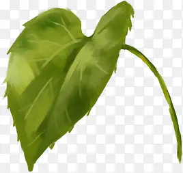 �ϳ�ˮ����ɫ����Ҷ-������