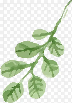 ˮ�ʺϳ���ɫ����֦Ч��-������