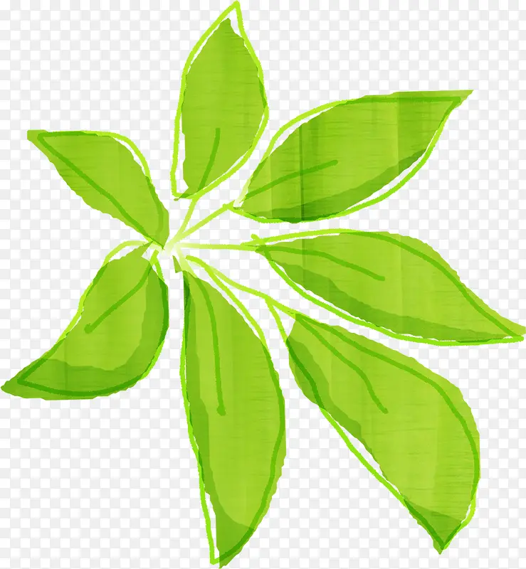 ˮ�ʺϳ���ɫ����Ҷ-������