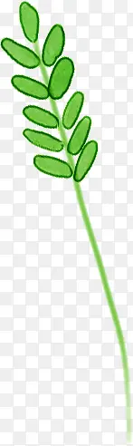 ��ɫˮ����Ҷװ��-������