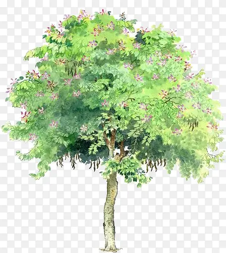 �ֻ���ɫˮ��ֲ��С��-������