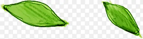 ��ɫˮ�������Ҷ-������