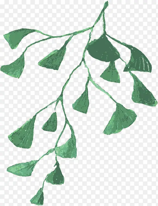 �ֻ�ˮ����ɫֲ��-������