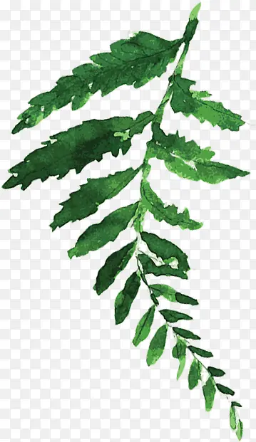 �ֻ�ˮ����ɫֲ��װ��-������