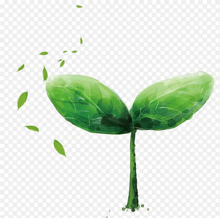 �ֻ���ɫˮ��С��-������