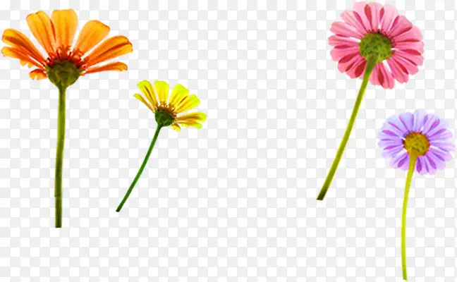 ��ɫ��ͨ�ɰ�����-������