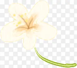 �ɰ�Ψ������ֲ��-������