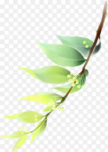 �ɰ���ͨ��������-������