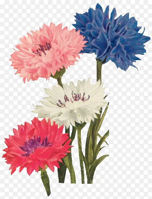 �ֻ��ɫ����ɰ�-������