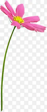 Ψ���ɰ���������-������