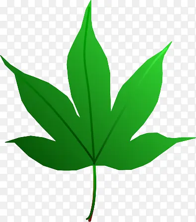 ��ͨ��Ҷ-������