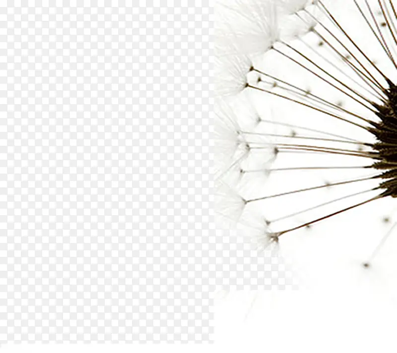 ��ɫ�ѹ�Ӣ�Ա�����-������