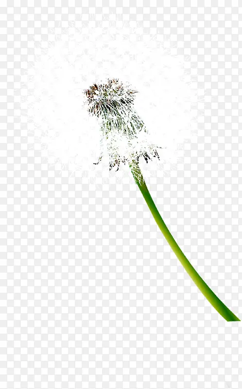 ��ɫ�ѹ�Ӣ��ҵ��-������