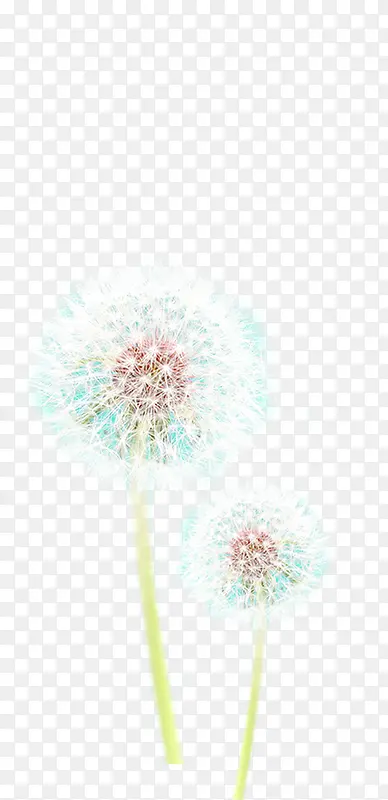 ���커����ɫ�ѹ�Ӣ-������