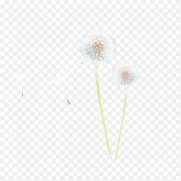 ��ɫ�ѹ�Ӣ-������