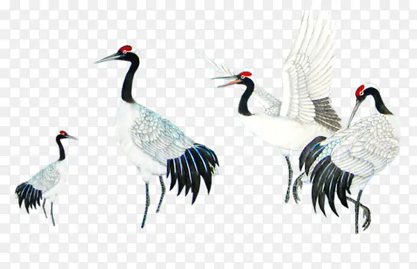 �ֻ浤����-������