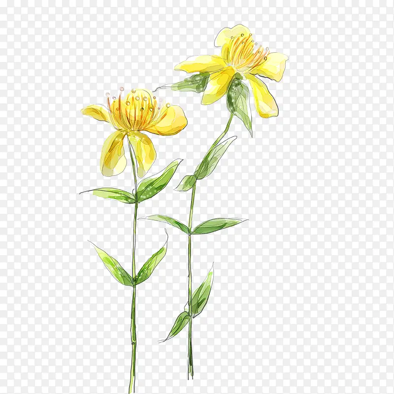 ˮ�ʰٺ�װ��-������