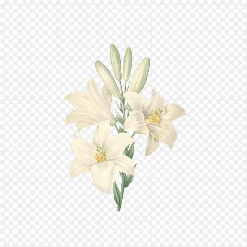 �����ֻ�-������