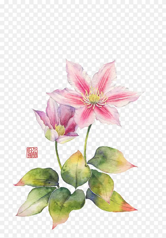 ����廭�ֻ��ز�-������