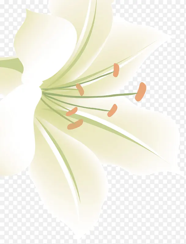 �ʻ��ɫ�ٺ�-������