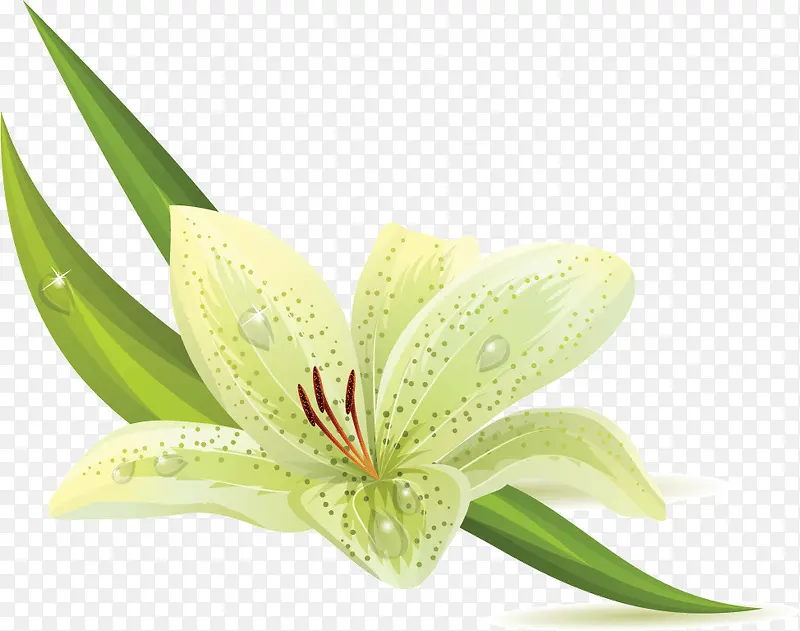 ��ɫ�ٺ�-������