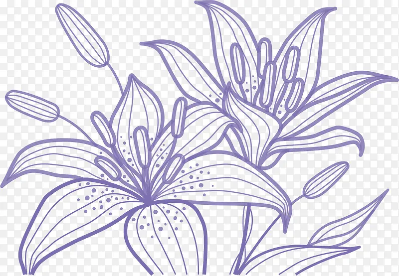 �ٺϻ���-������