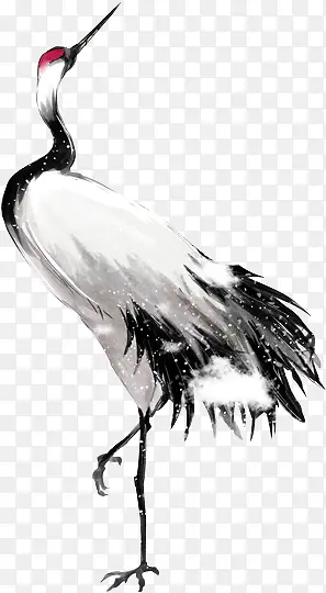 �ɺ׵����׶�����-������