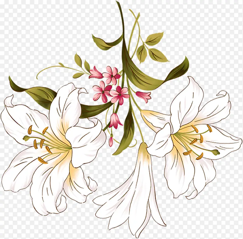 �ֻ�ٺ�ʥ���ڿ�Ƭ-������