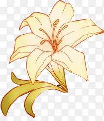 �ֻ��ɫ�ٺ�-������