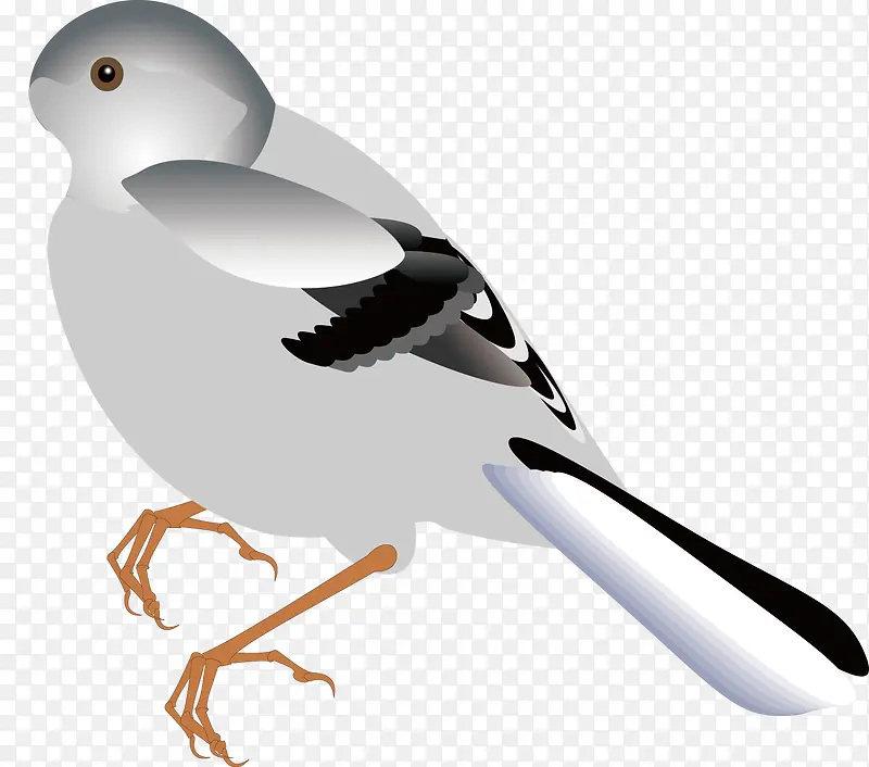 ��ľ��װ��ʸ���ز�-������