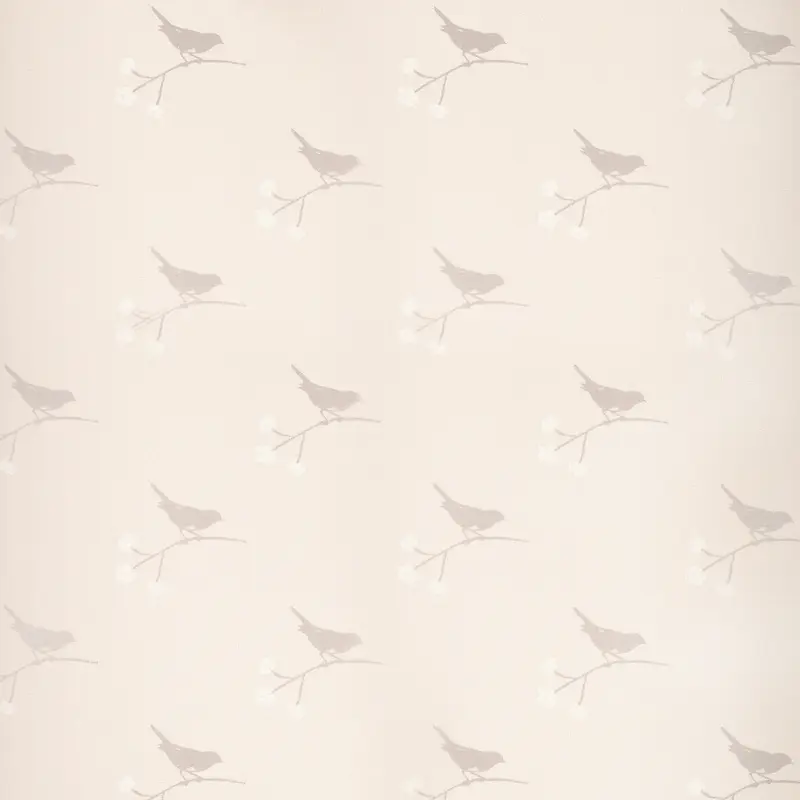 С�񱳾�-������