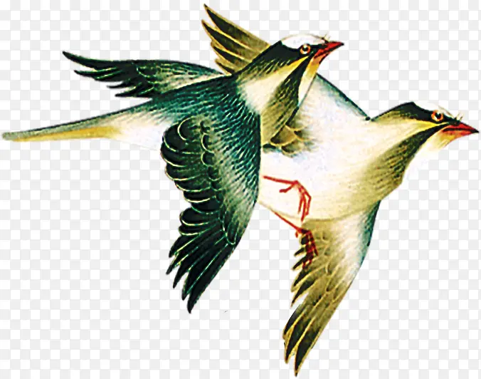 ����˫�ɵ����ز�-������