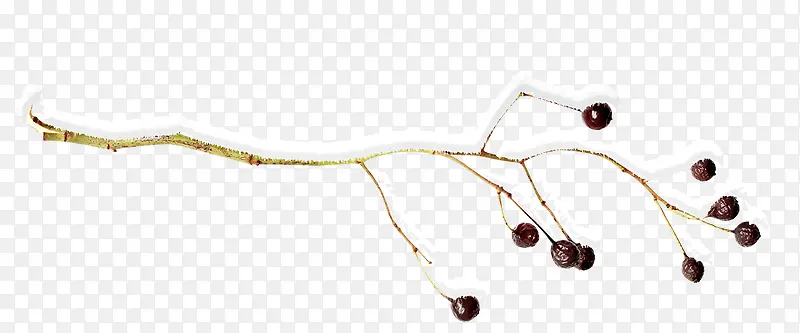 ϸ֦ͼƬ�ز�-������