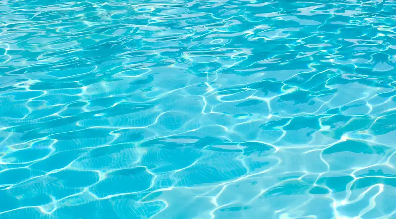 ���Ʊ���-������