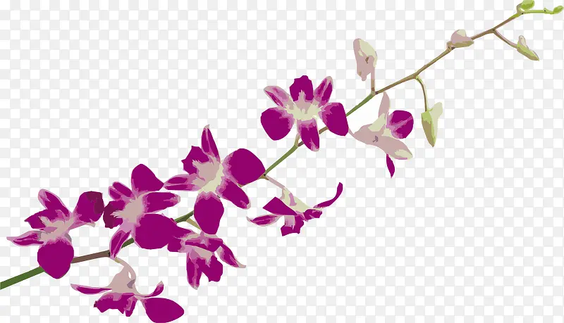 ����pngʸ���ز�-������