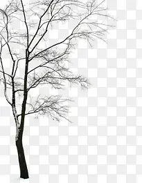 Ψ��������֦�ز�-������