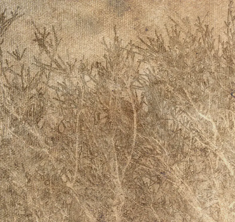 ��֦���Ʊ���-������