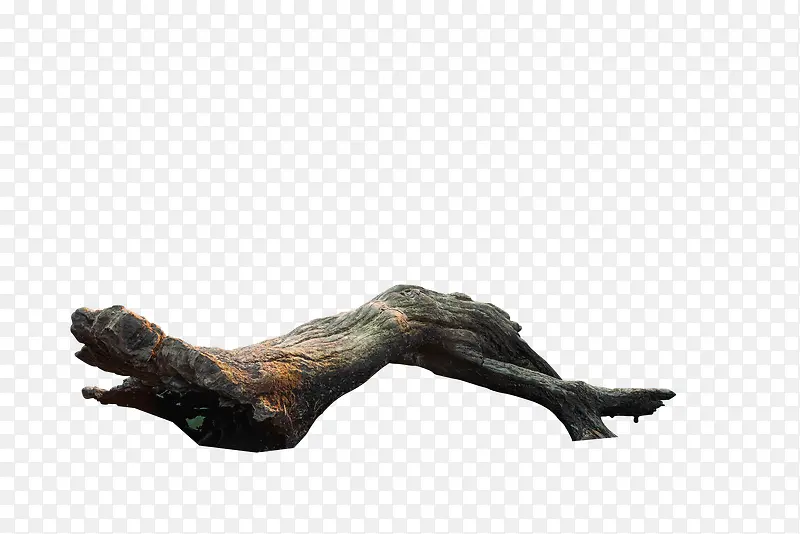 ����֦ͼƬ�ز�-������