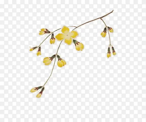 ��ɫ֦Ҷ��֦�ز�-������