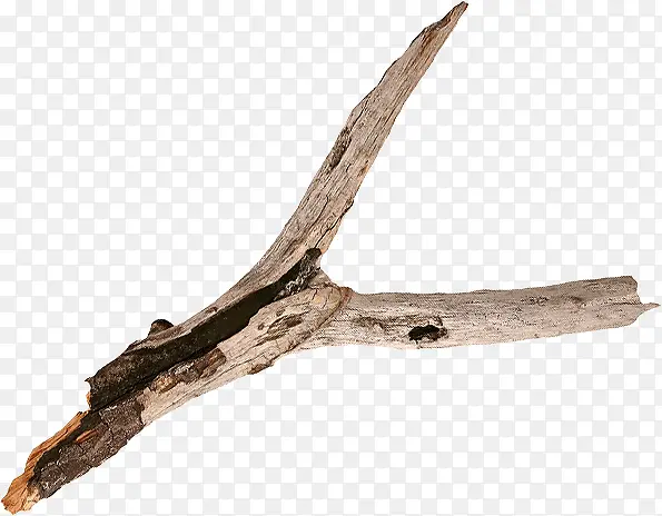 ��ή��֦png�ز�-������