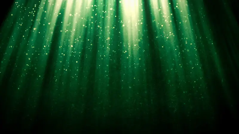 �λ��̹ⱳ��-������