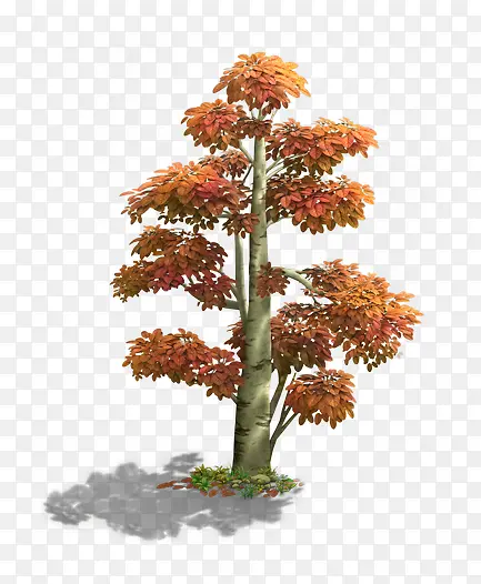 ��ͨ��ɫ��-������