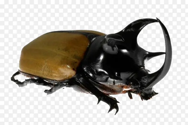 Ϭţ�׳�-������