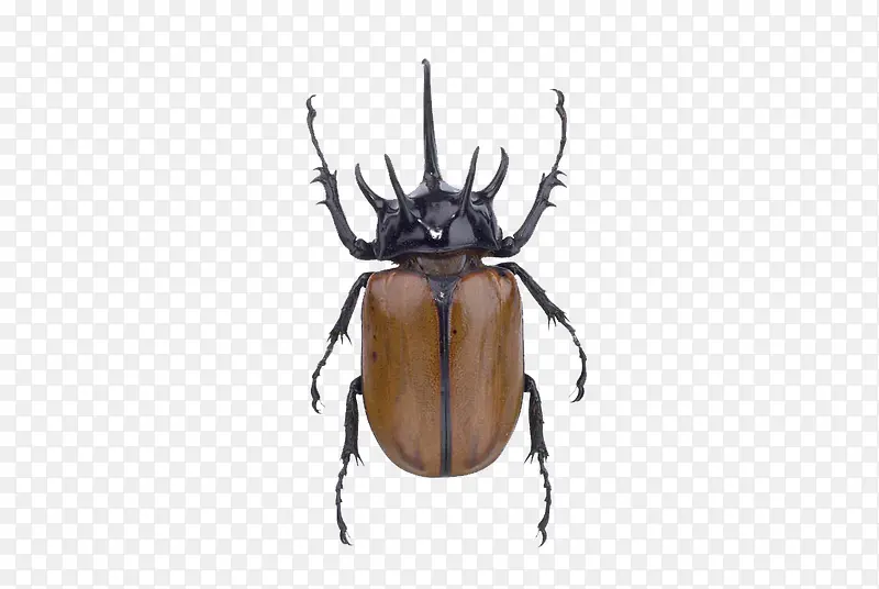 Ϭţ�׳�-������