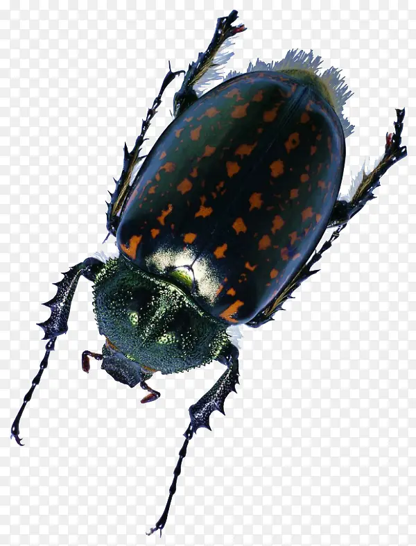 �ߵ�����-������