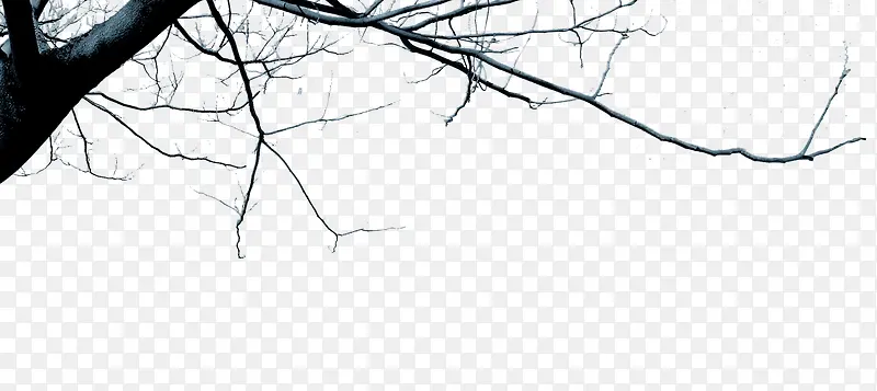 ��ľ-������