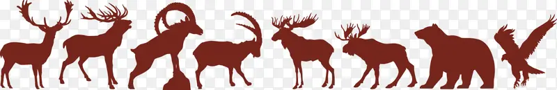 ���ﻨ��-������