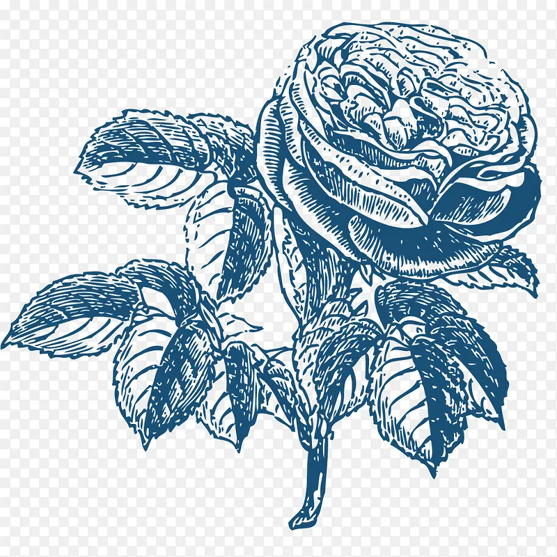 �ֻ滨-������