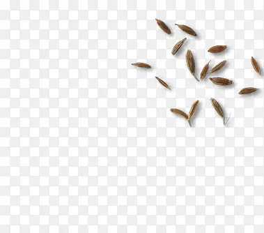 ����ʳƷ��ɫ����-������