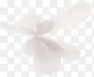 ����ɫ������-������